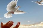 آزادی ۸ زندانی جرائم غیر عمد یزد به مناسبت آغاز هفته وحدت