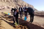 ضرورت داشتن شرایط مطلوب واحد تولیدی سازمان همیاری از لحاظ زیست محیطی