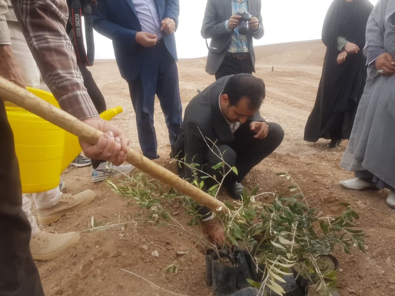 کاشت نهال توسط مدیرکل صنعت، معدن و تجارت استان یزد به مناسبت روز درختکاری