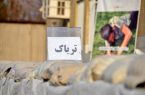 دستگیری قاچاقچیان در جاده های یزد
