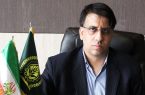 ۳۰۰گلخانه در یزد شناسنامه سلامت دارند