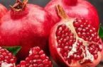 پیش بینی برداشت ۱۲۱ هزار تن انار از باغات استان یزد