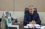 استان یزد در مسیر کاشت ۱۵ میلیون نهال؛ مشارکت عمومی برای تحقق طرح ملی کاشت یک میلیارد درخت
