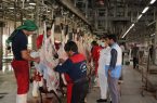 بازدید از قربانگاه‌ها و کشتارگاه ها توسط مدیر کل دامپزشکی استان یزد در روز عید قربان