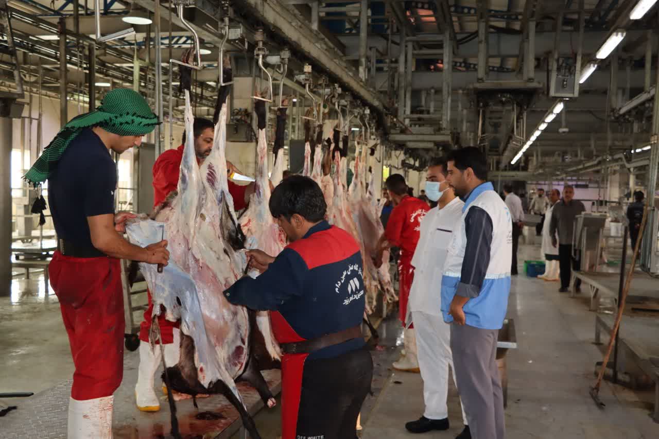 بازدید از قربانگاه‌ها و کشتارگاه ها توسط مدیر کل دامپزشکی استان یزد در روز عید قربان