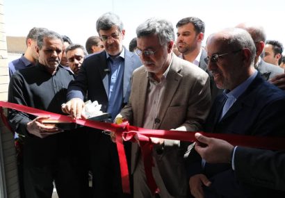 وزیر بهداشت از ۹ شهرستان استان یزد بازدید کرد